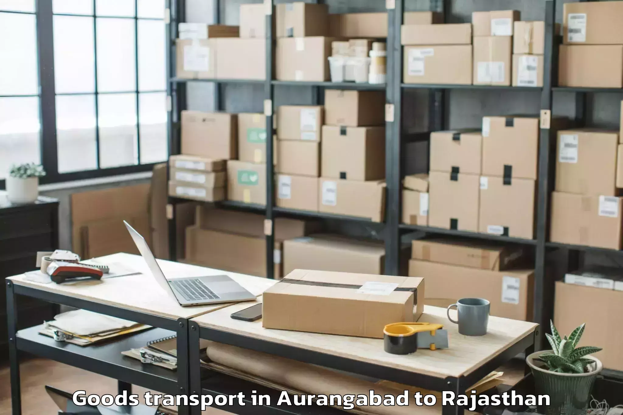 Professional Aurangabad to Mewar University Chittorgarh Goods Transport